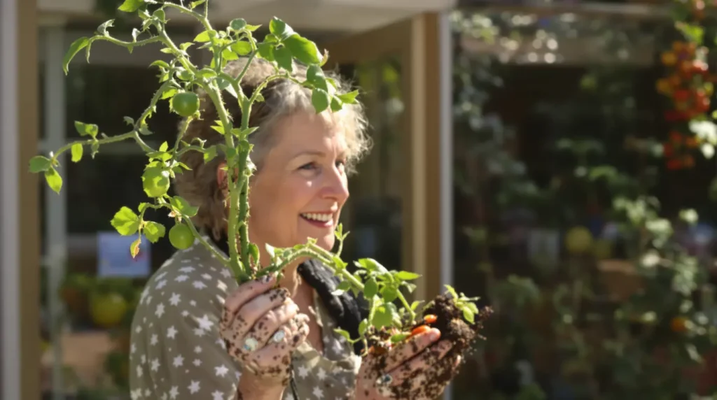 Ce conseil de mon maraîcher a doublé ma récolte de tomates tout l'été dernier