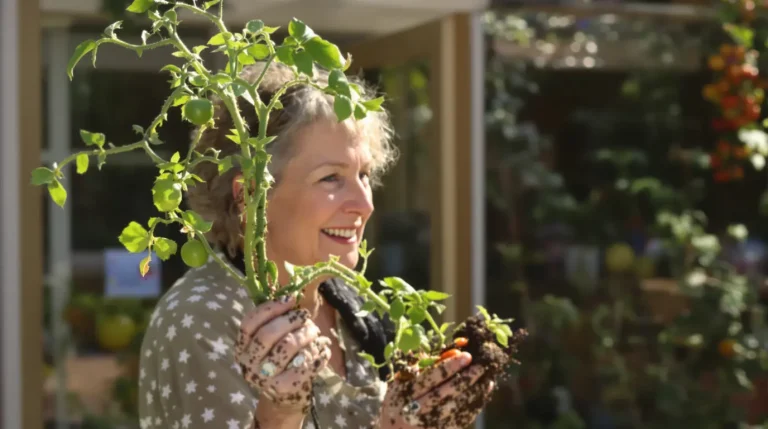 Ce conseil de mon maraîcher a doublé ma récolte de tomates tout l&rsquo;été dernier