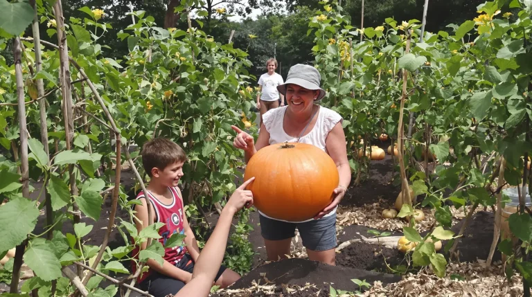 Combien de pieds de courges planter pour nourrir une famille de 4-5 personnes ?